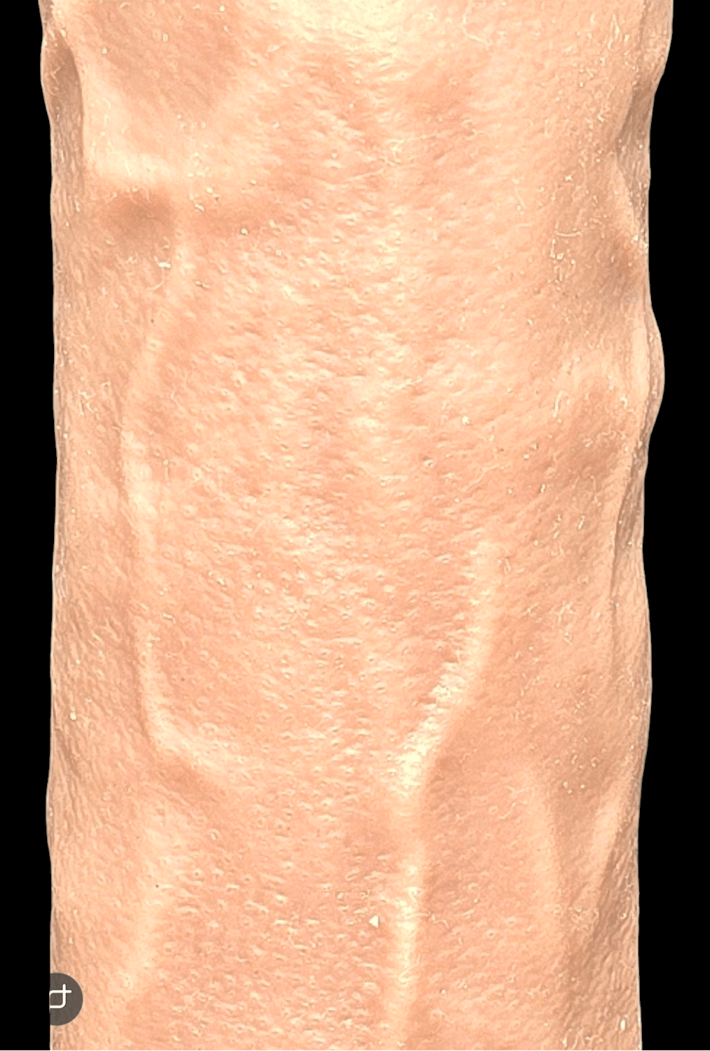 Buy The Adonis 1.75 Penis Sleeve & Extender from Sensual Extensions Penis Sleeves The Adonis 1.75 Penis Sleeve & Extender - Image 7